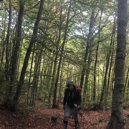 Monte Tocco